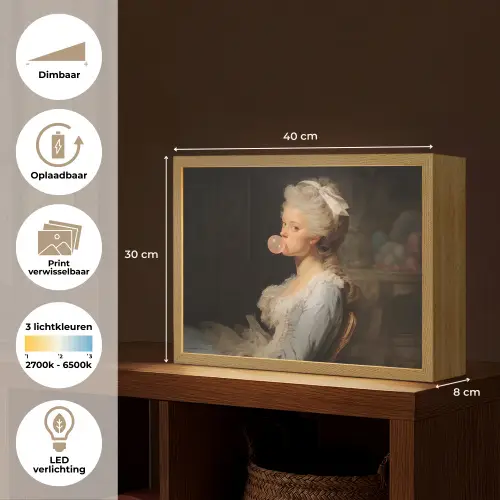 Vrouw - Barokjurk - Kauwgom Light Box met batterij (Wandlamp) middel -USP_websiteoverzichtNL