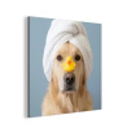 Hond - Badeend - Geel aluminium wit klein -3d