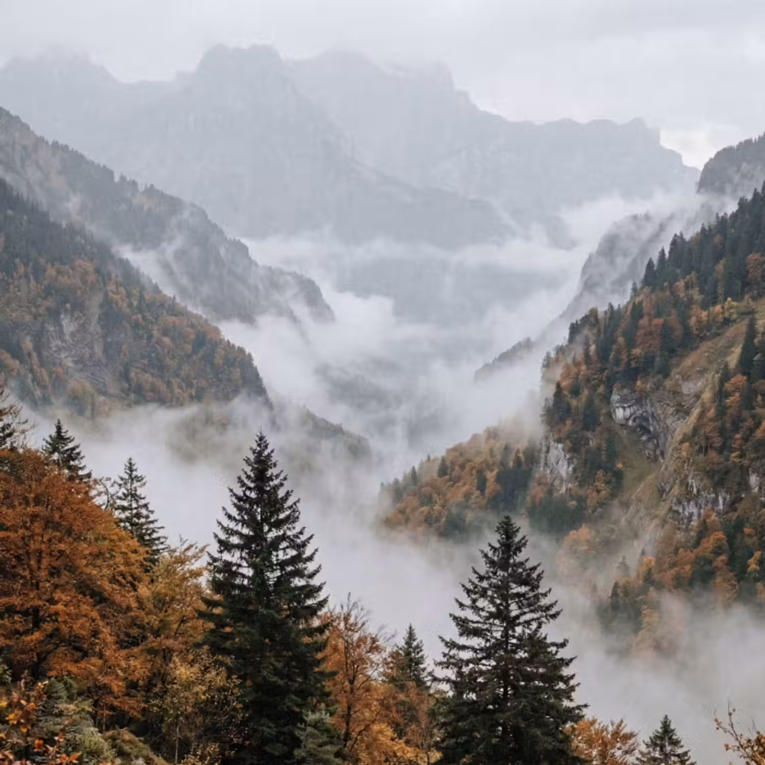 Behang - Bergen - Vallei - Mist - Herfst - Natuur