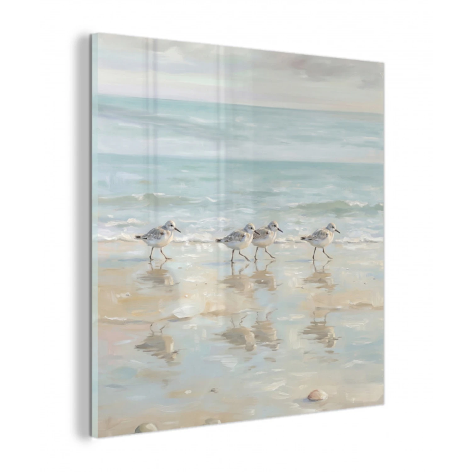 Vogels - Strand - Zee plexiglas 5mm klein -z3d