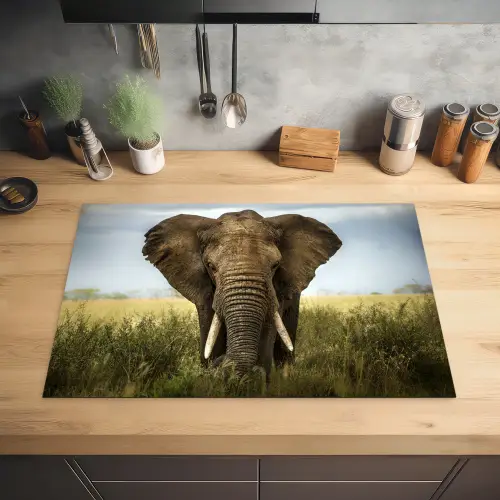 Olifant - Natuur - Gras - Dieren - Landschap Inductie beschermer vinyl 3mm klein -sfeer5