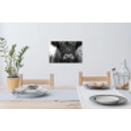 Schotse hooglander - Zwart - Wit - Sneeuwvlokken Muursticker klein -eettafel