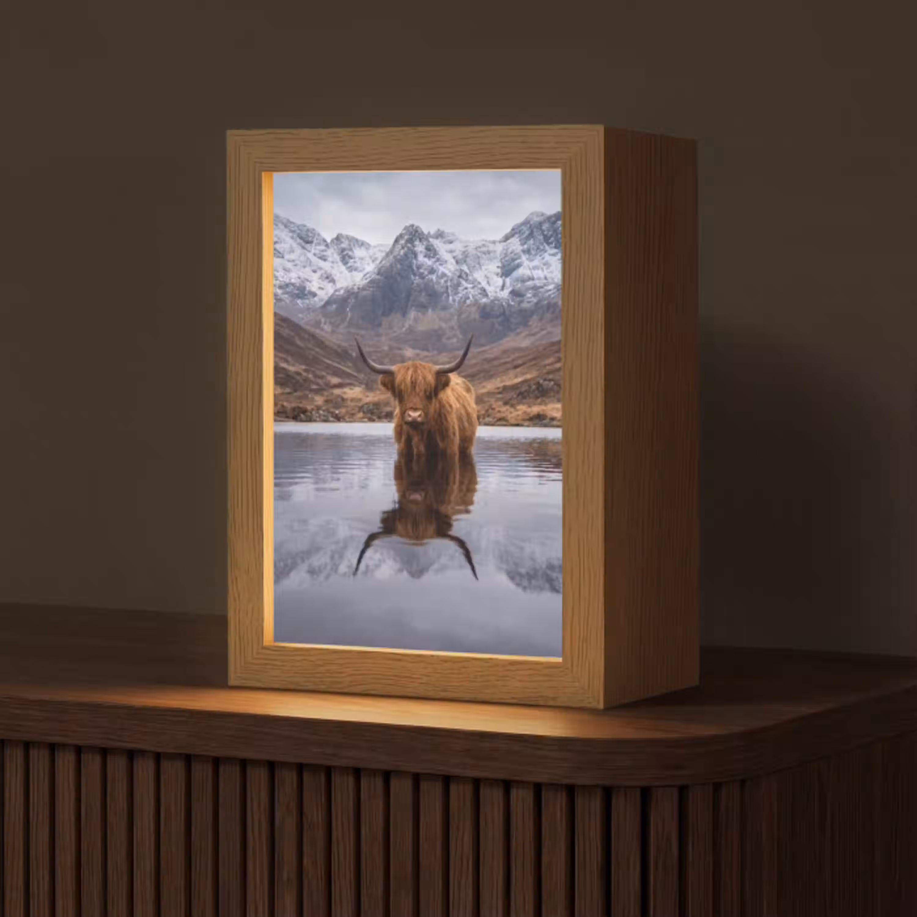 Schotse hooglander - Bruin - Water Light Box met kabel (Tafellamp) klein -z3d_website