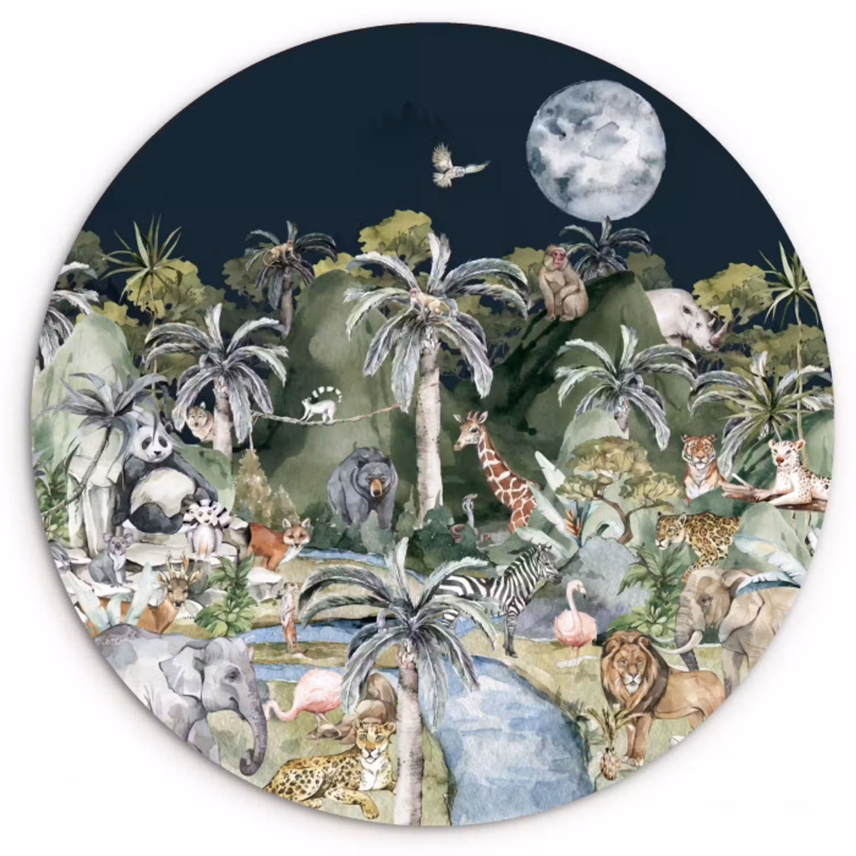 Kinderen - Jungle - Natuur - Dieren - Planten Wandcirkel kunststof plaat 5mm dik klein -3d