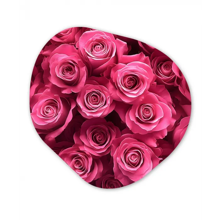 Rozen - Pink - Bloem Wandcirkel Organisch Plexiglas middel -3d