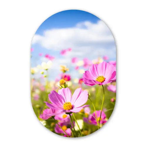 Bloemen - Wei - Paars - Gras - Wit - Wolken - Blauw Wandcirkel Ovaal Forex klein -3d