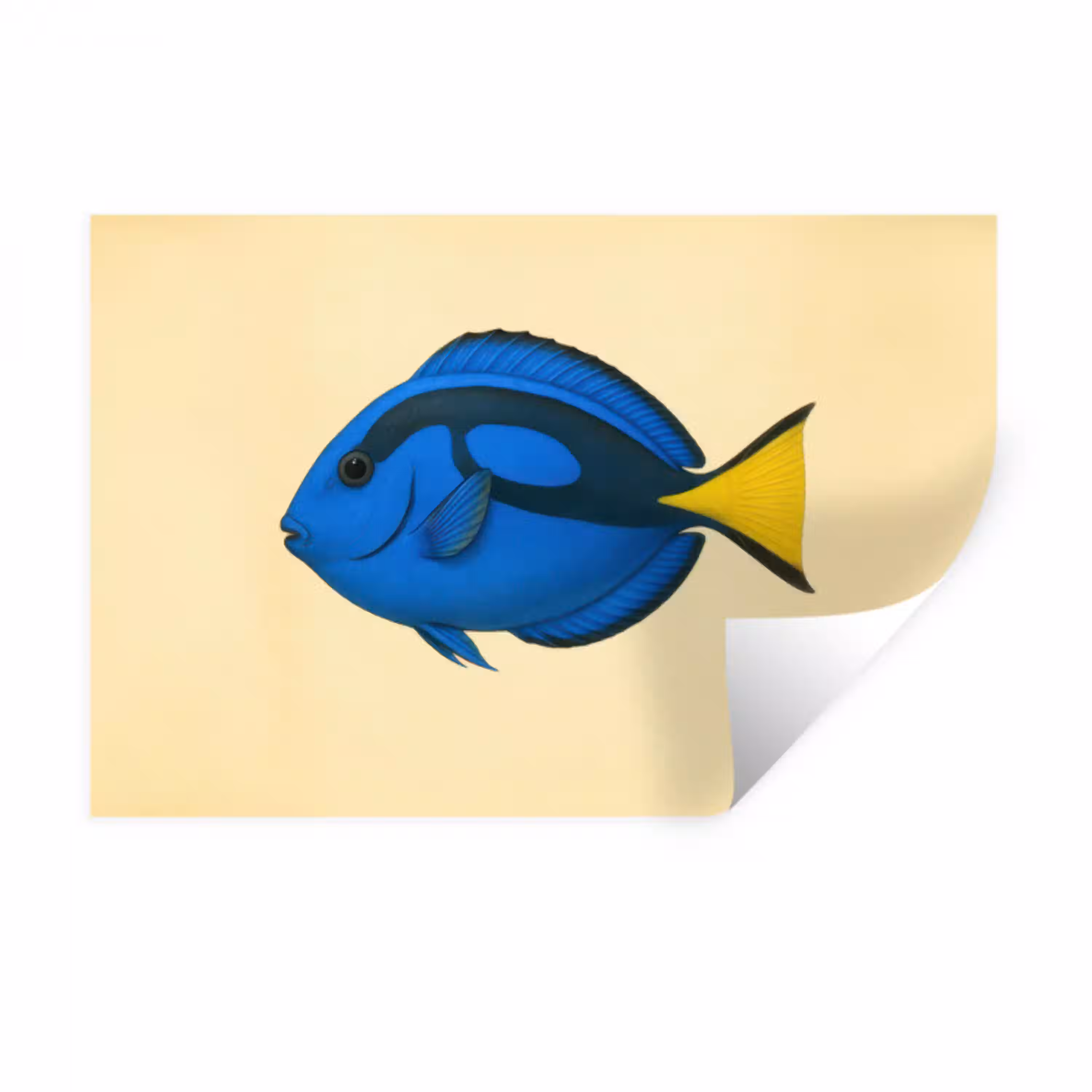 Blauw - Dory - Vis - Staartvin Muursticker klein -3d