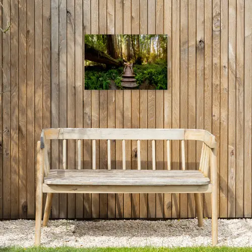 Jungle - Natuur - Trap - Bomen Tuinposter op houten frame 2 cm dik klein -sfeer4