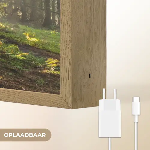 Zon - Takken - Bomen - Bos - Natuur Light Box met batterij (Wandlamp) middel -USP_websiteoplaadbaarNL
