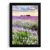 Lavendel - Bloemen - Zonsondergang - Paars - Weide fotolijst zwart zonder passe partout klein -3d