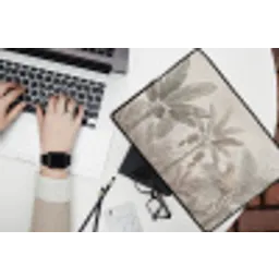 Natuur - Jungle - Ringstaartmaki - Bruin laptophoes neopreen klein -bureau