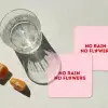 No rain no flowers - Minimalistisch - Roze - Bloem onderzetter kurk middel -sfeer4