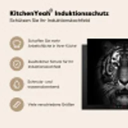 Essentie van Intensiteit Inductie beschermer vinyl 3mm middel -tsfeer2_DE