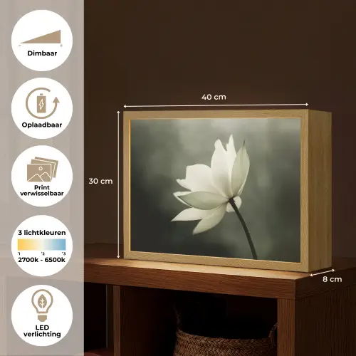 Wit - Lotus - Donker - Bloem Light Box met batterij (Wandlamp) middel -USP_websiteoverzichtNL