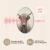 Schotse hooglander - Hoorns - Landschap Akoestische PET Vilt - Rond klein -USP_NL