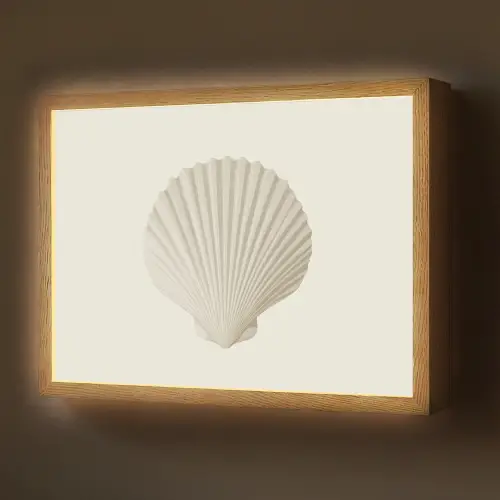 Schelp - Minimalistisch - Wit Light Box met batterij (Wandlamp) middel -z3d_website