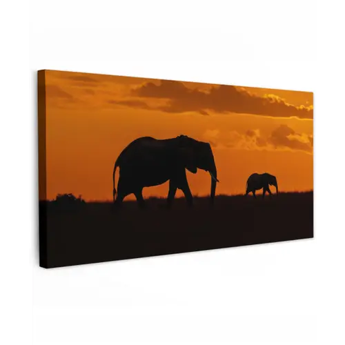 Olifanten - Savanne - Zonsondergang Tuinposter op houten frame 2 cm dik xxl -3d