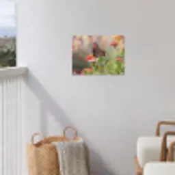 Vlinder op zomerbloem tuinposter los doek klein -sfeer8