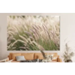 Gras - Close up - Groen forex 5mm xxl -bovenbank