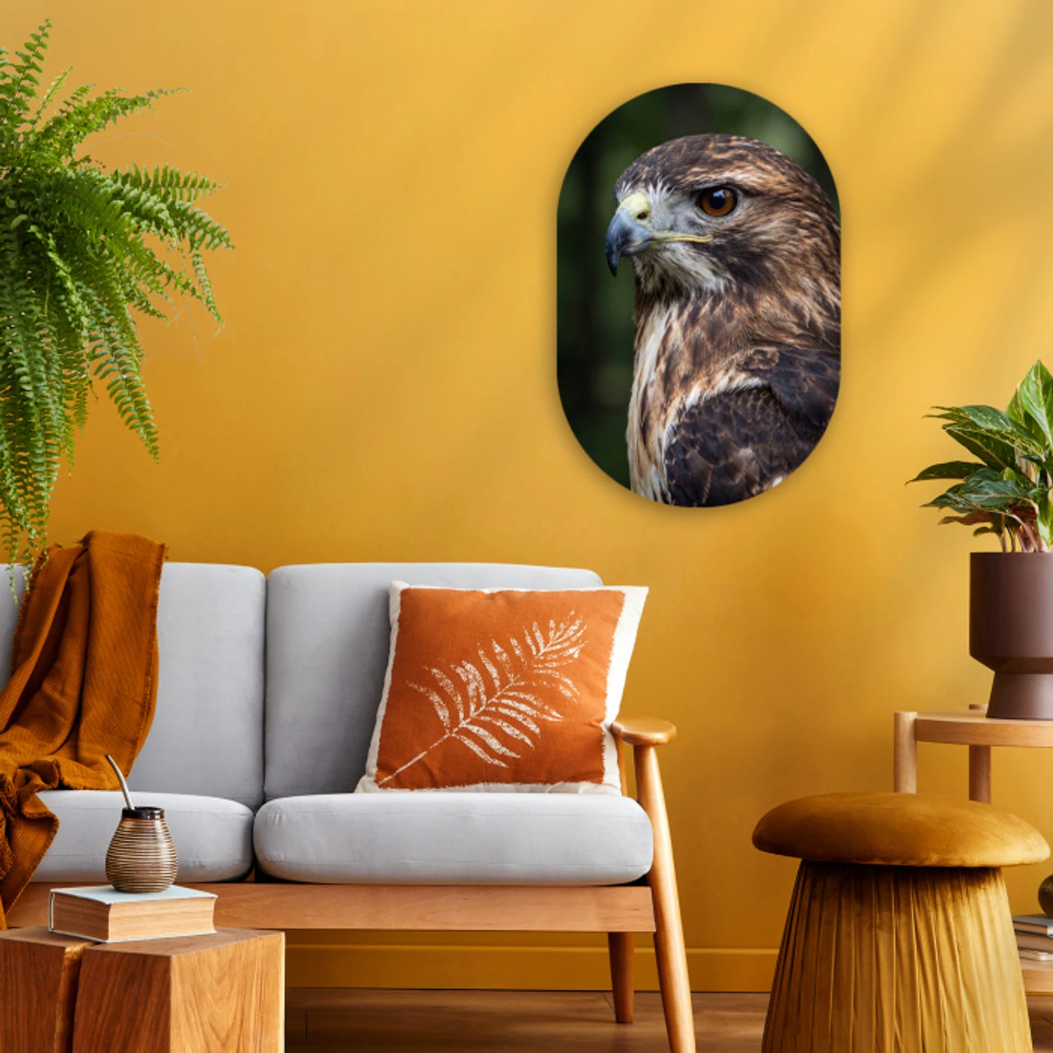 Buizerd - Roofvogel - Natuur - Bruin Wandcirkel Ovaal Forex klein -sfeer4