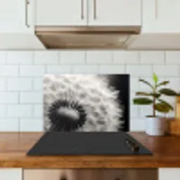 Paardenbloem - Zwart - Wit keuken achterwand spatscherm klein -sfeer2