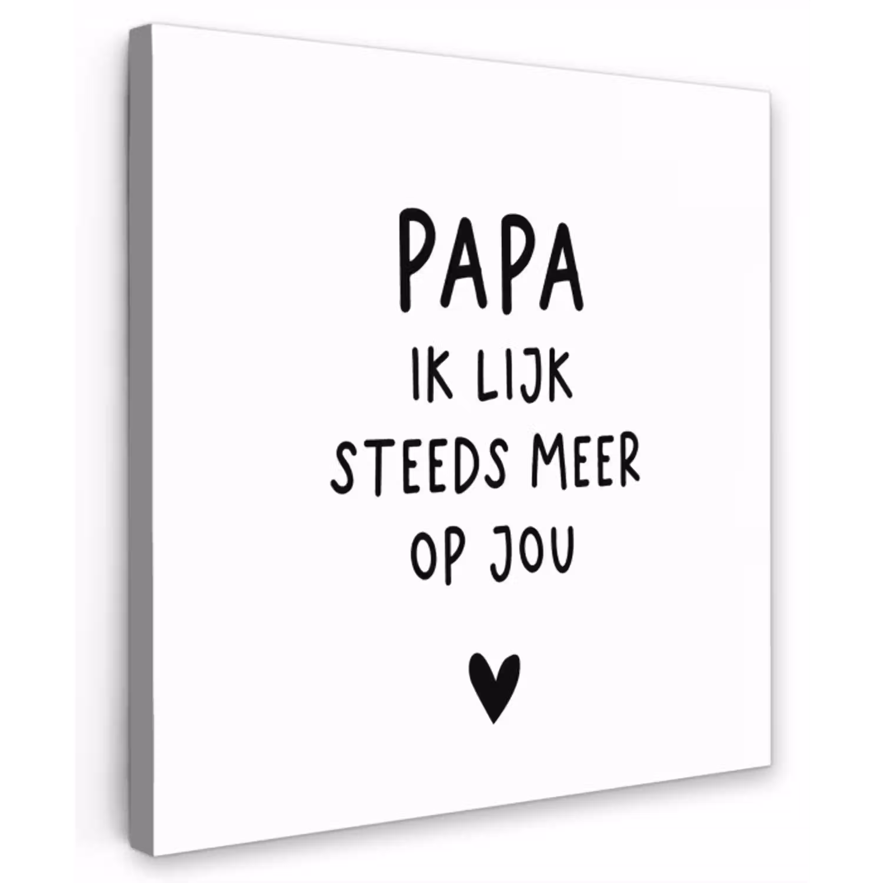 Papa - Spreuken - Stef Bos - Papa ik lijk steeds meer op jou - Quotes Tuinposter op houten frame 2 cm dik klein -3d