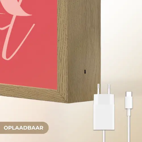 Star girl - Rood - Panter - Ster Light Box met batterij (Wandlamp) middel -USP_websiteoplaadbaarNL