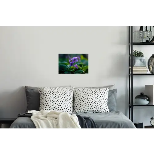 Viooltjes - Paars - Bloem - Bladeren Muursticker klein -slaapkamer