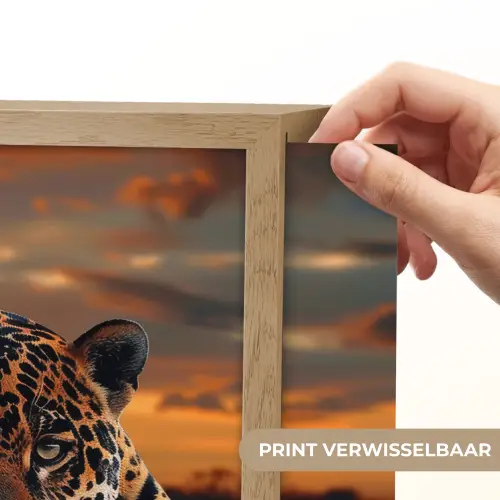 Natuur - Luipaard - Dier - Zonsondergang - Modern Light Box met batterij (Wandlamp) middel -USP_websiteprintNL