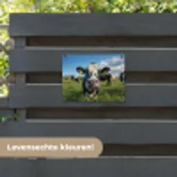Koe - Tong - Weide tuinposter los doek klein -sfeer3