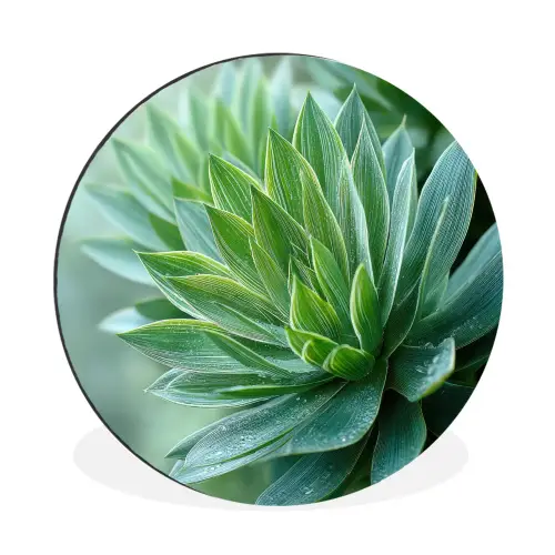 Blad - Plant - Groen - Textuur Wandcirkel aluminium klein -3d