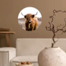 Schotse hooglander - Landschap - Koe - Bruin - Dieren - Natuur Wandcirkel behangsticker klein -sfeer1