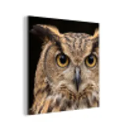 Oehoe - Uil - Portret - Bruin aluminium wit klein -3d