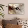 Schaap - Oog - Wit canvas 2cm klein -sfeer1