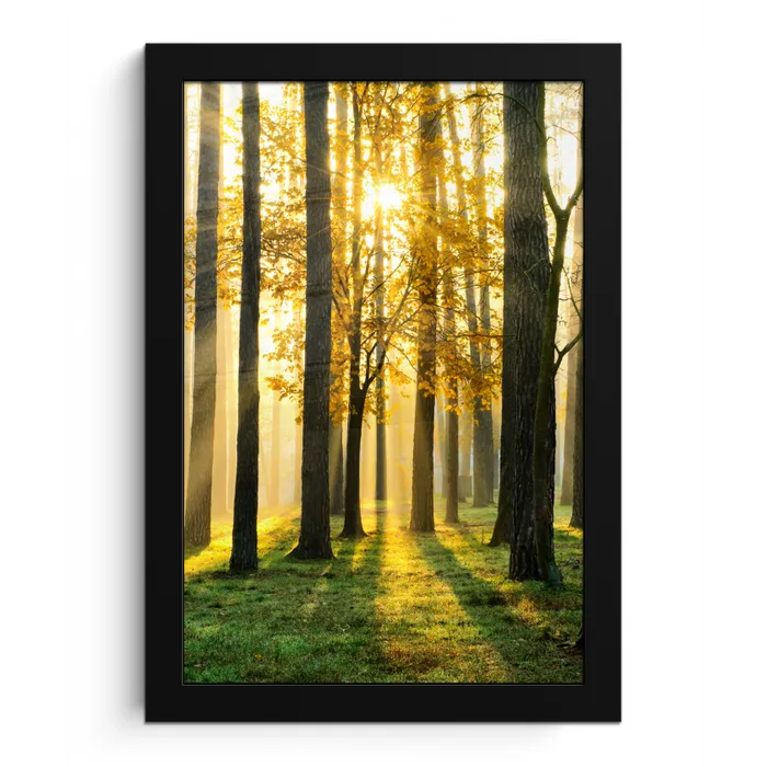 Bos - Zon - Bomen - Gras - Landschap  - Natuur fotolijst zwart zonder passe partout klein -3d