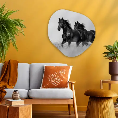 Paarden - Gras - Zwart - Wit Wandcirkel Organisch Aluminium middel -sfeer4