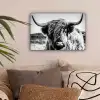 Koe - Schotse hooglander - Zwart - Wit - Dier - Natuur - Wild canvas 2cm klein -sfeer1