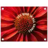 Close up - Bloem - Quote - Rood tuinposter los doek klein -3d