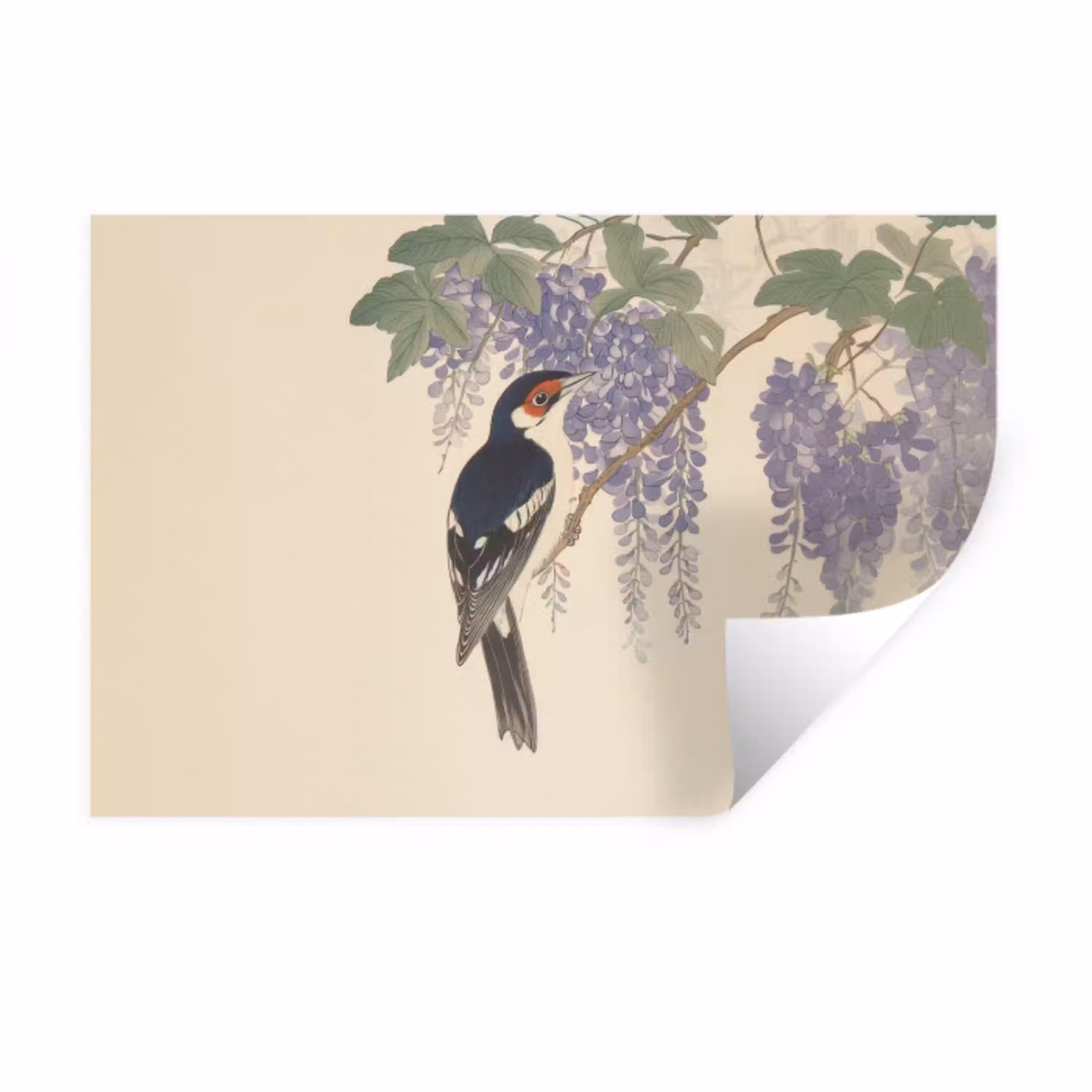 Specht - Bloemen - Paars Muursticker klein -3d
