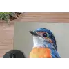 Kleurrijk - Vogeltje - Veren - Blauw muismat rubber klein -closeup