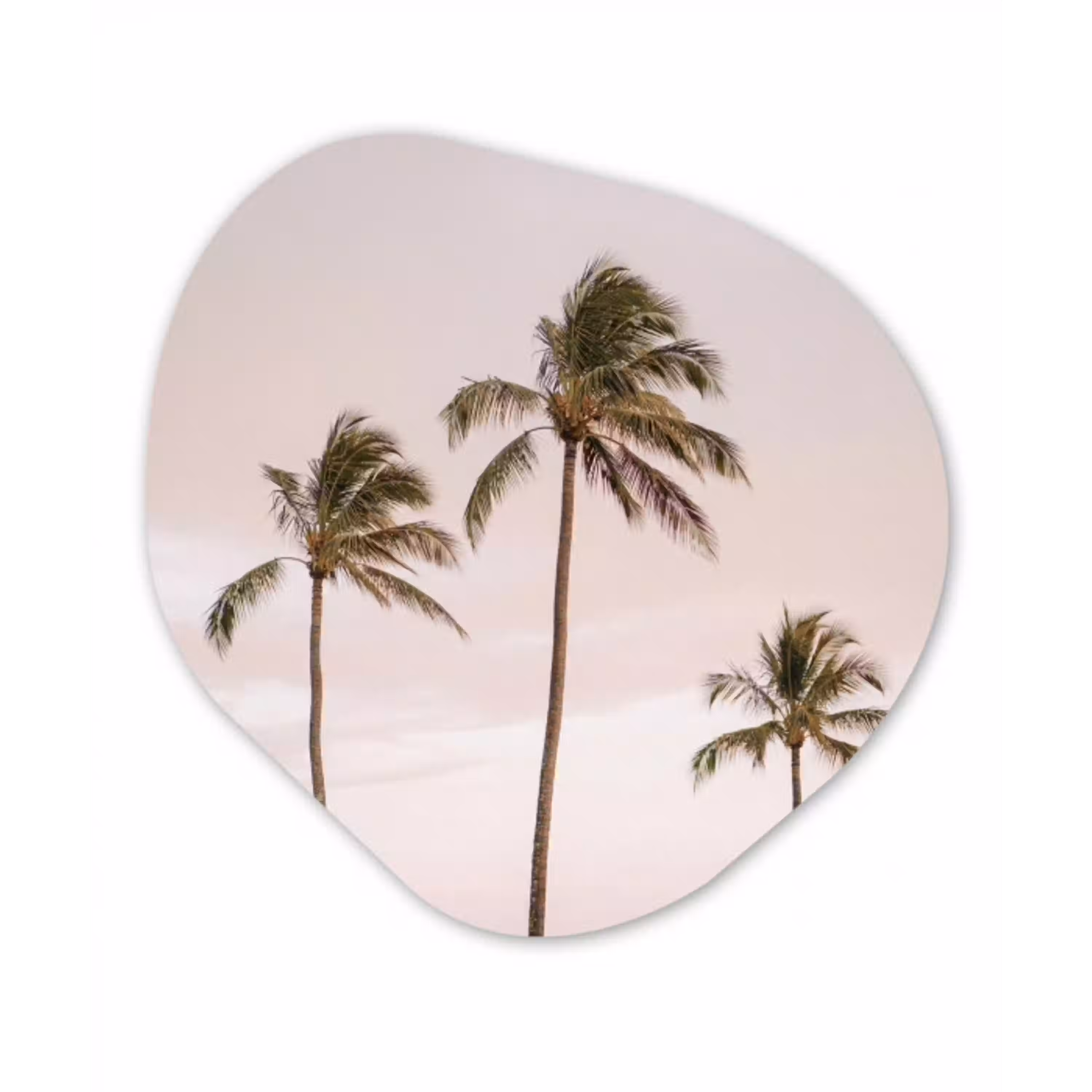 Palmbomen - Zonsondergang - Roze Wandcirkel Organisch Aluminium middel -3d