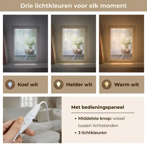 Vaas - Eieren - Bloemen Light Box met kabel (Tafellamp) klein -USP_lichtkleurNL