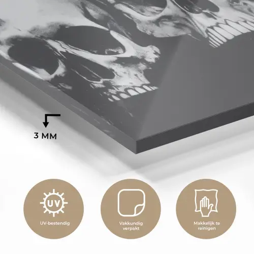 Schedels - Zwart - Contrast plexiglas 5mm klein -sfeer2