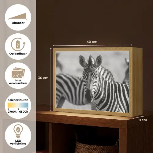 Zebra's - Zwart - Wit Light Box met batterij (Wandlamp) middel -USP_websiteoverzichtNL