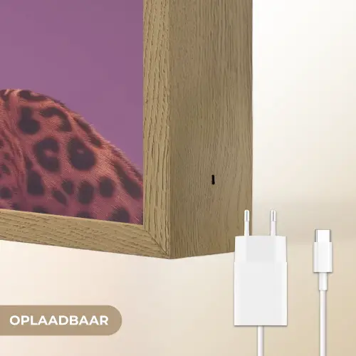 Panter - Zonnebril - Kauwgombel - Roze Light Box met batterij (Wandlamp) middel -USP_websiteoplaadbaarNL