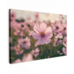 Bloemen - Paars - Wazig Tuinposter op houten frame 2 cm dik klein -3d
