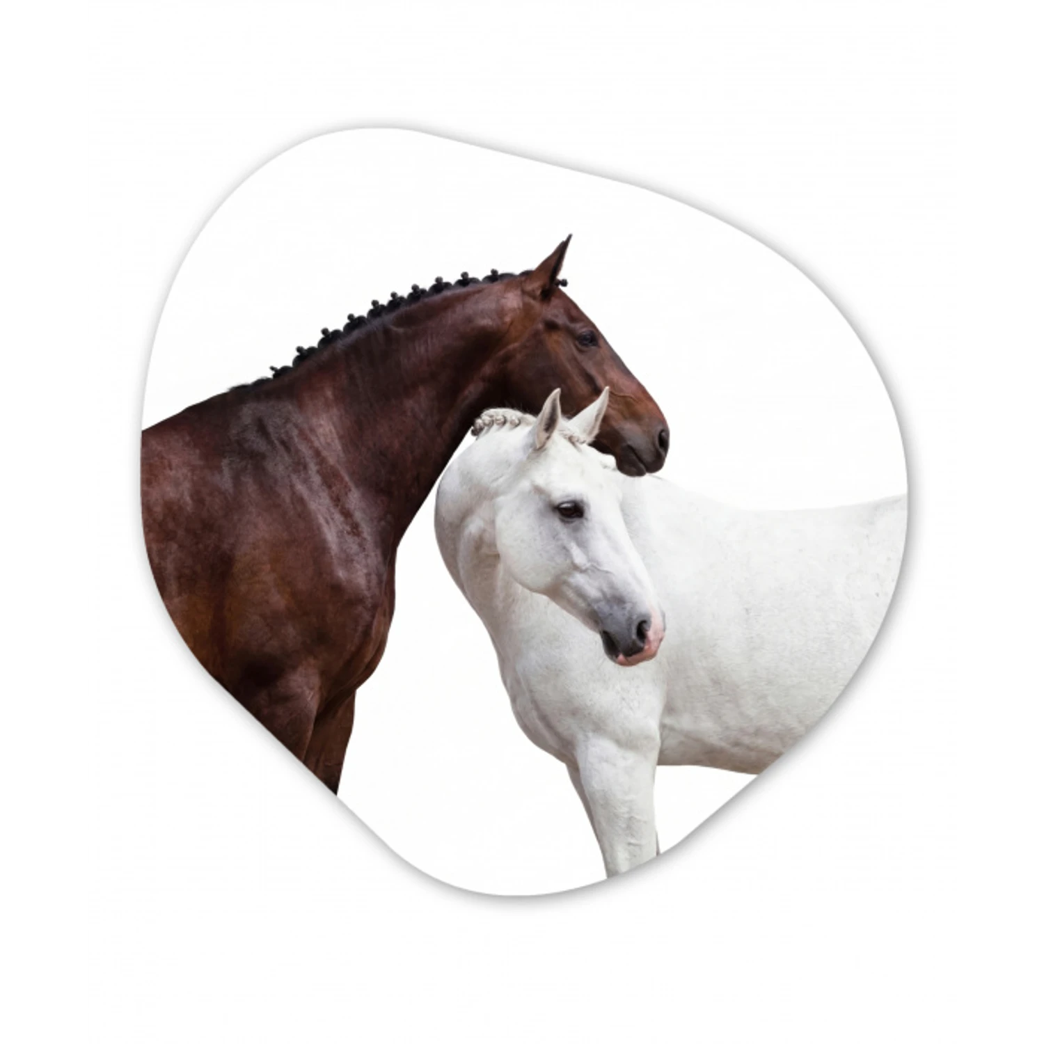 Paard - Modern - Balans Wandcirkel Organisch Aluminium middel -3d