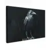 Raaf - Vogels - Zwart Tuinposter op houten frame 2 cm dik klein -3d
