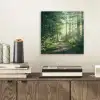 Bos - Pad - Zon - Bomen - Groen - Natuur aluminium wit klein -sfeer1