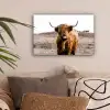 Schotse hooglander - Landschap - Koe - Bruin - Dieren - Natuur canvas 2cm klein -sfeer1